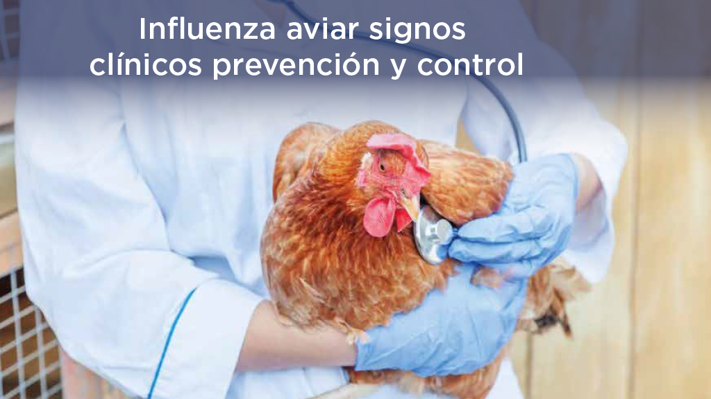 Guía técnica influenza aviar