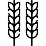 Manual de identificación taxonómica de malezas