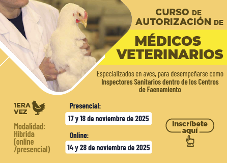 Publicidad