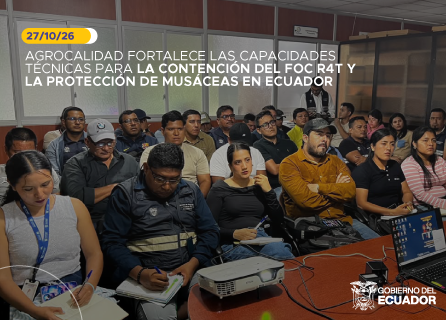 Publicidad