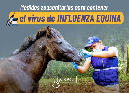 Publicidad