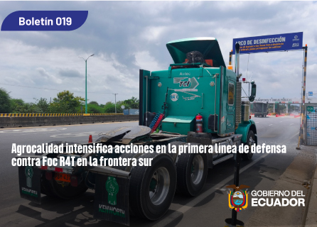 Publicidad