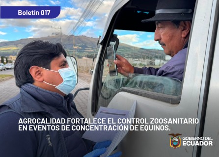Publicidad