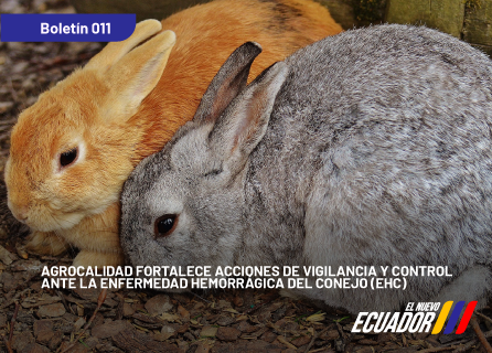 Publicidad
