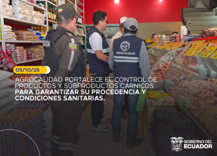 Publicidad