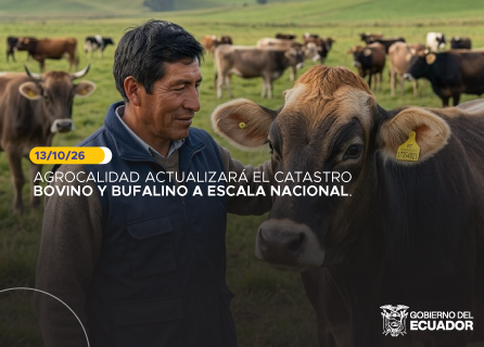 Publicidad