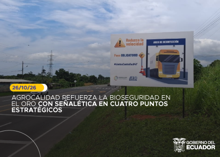 Publicidad