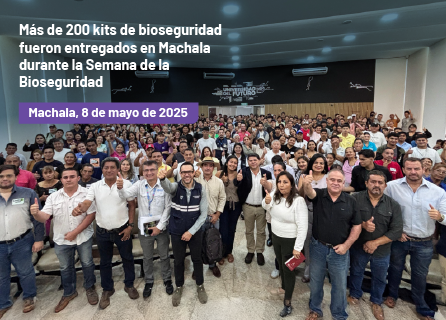 Publicidad