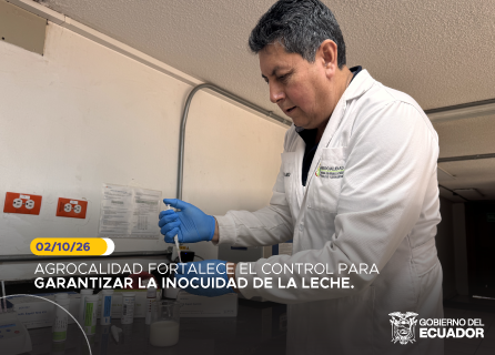Publicidad