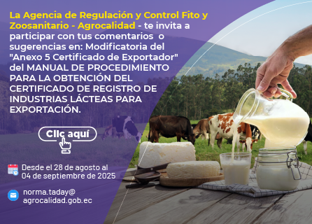 Publicidad