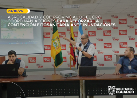 Publicidad