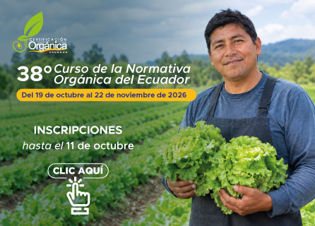 Publicidad