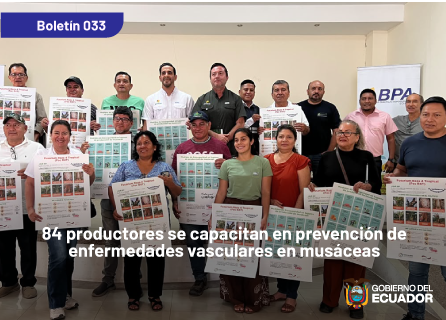 Publicidad