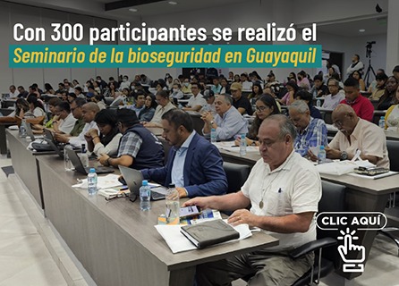 Publicidad