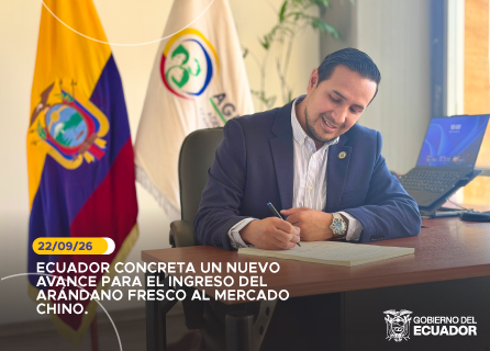Publicidad