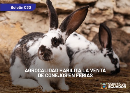 Publicidad
