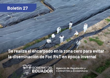 Publicidad