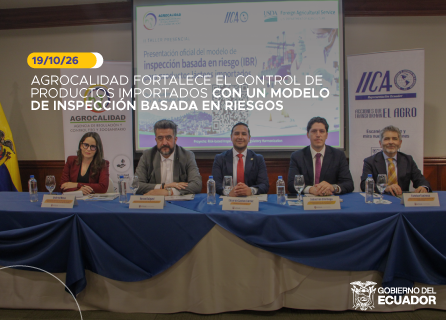 Publicidad