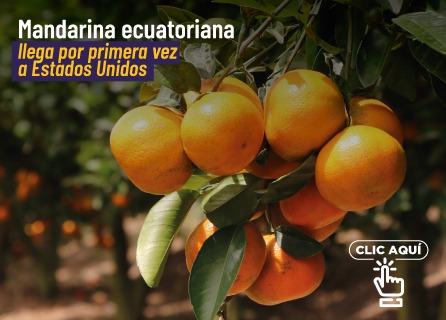Publicidad