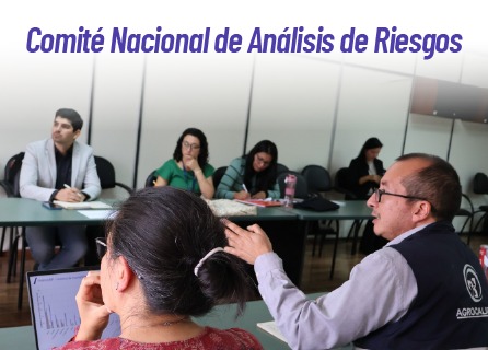Publicidad