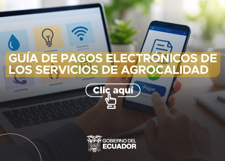Publicidad