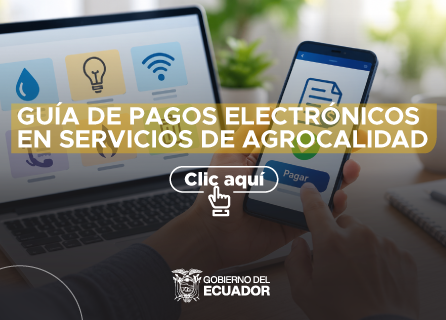 Publicidad
