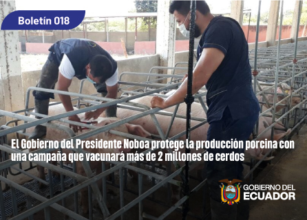 Publicidad
