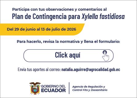 Publicidad