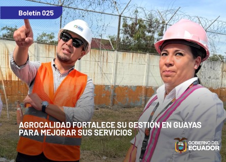 Publicidad