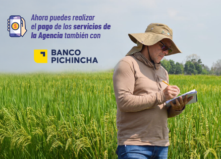 Publicidad