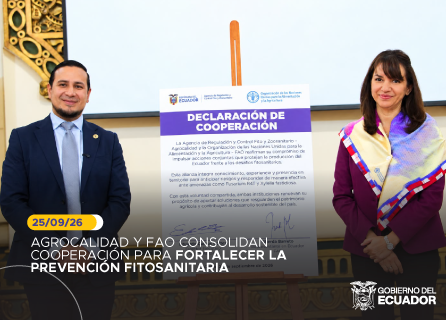 Publicidad