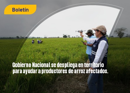 Publicidad