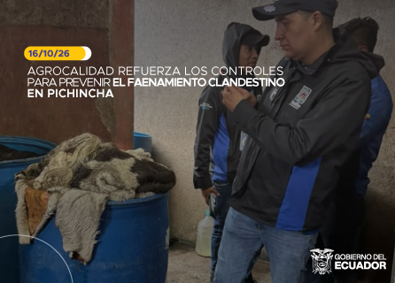 Publicidad
